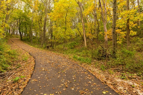 Featured Image for Bike Trails from HMA