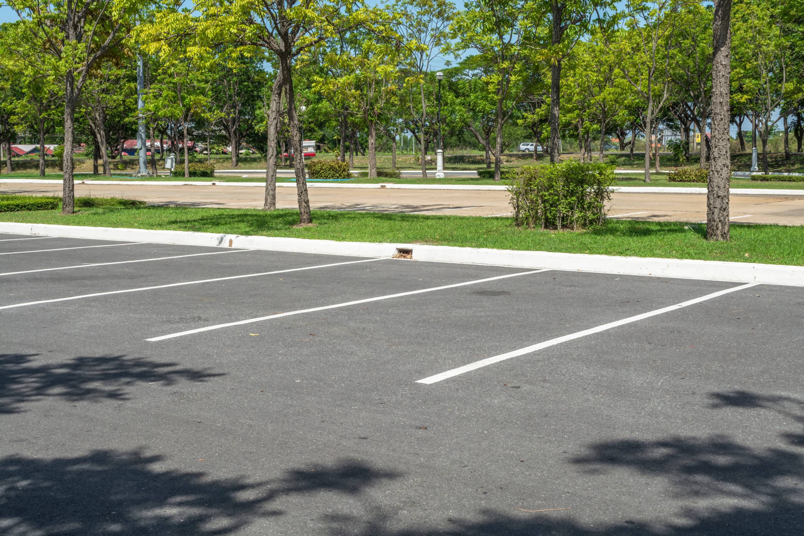 Empty parking lot with trees - HMA Contracting Photo of parking lot with empty spaces