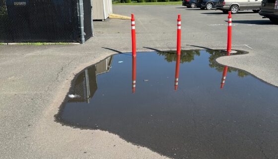 Parking lot with large puddle